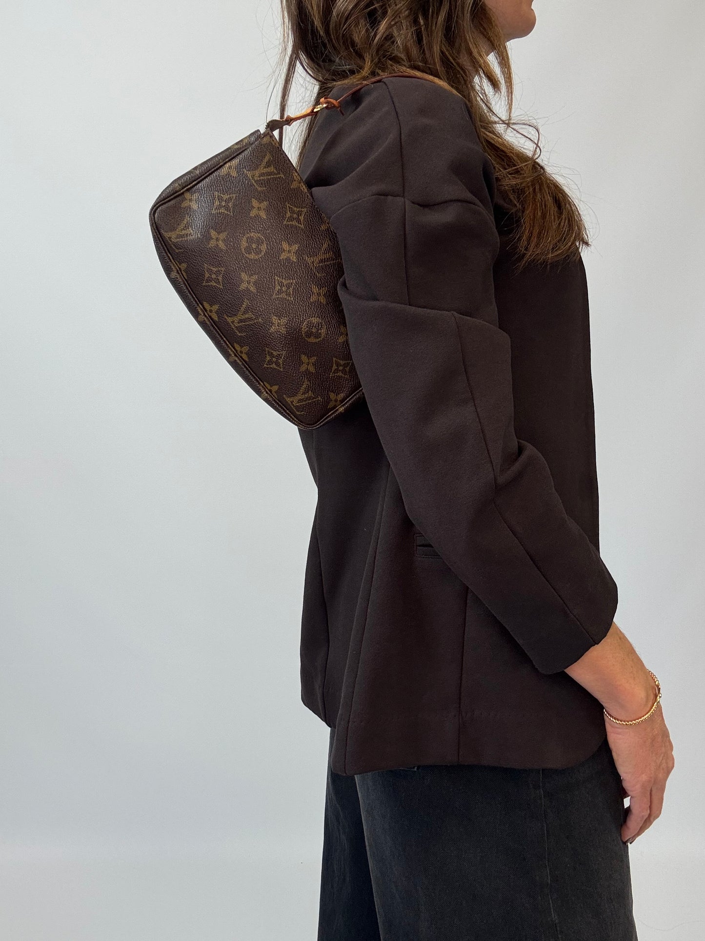 Louis Vuitton Monogram Canvas Pochette Accessoires