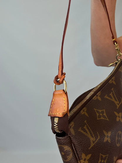 Louis Vuitton Monogram Canvas Pochette Accessoires