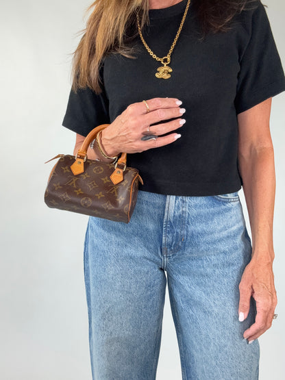 Louis Vuitton Monogram Nano Speedy-HL