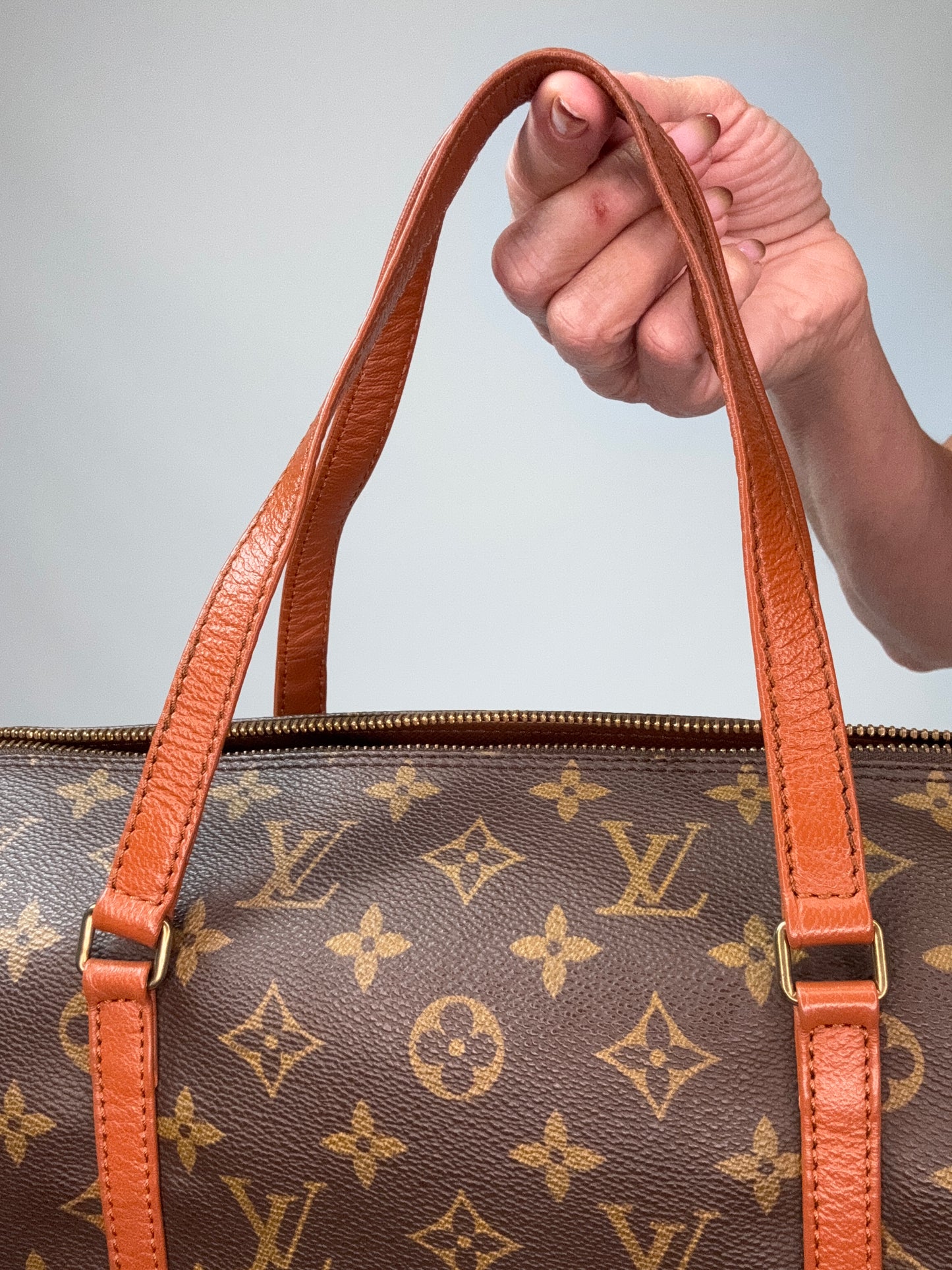 Louis Vuitton Monogram Papillon 30 With Companion