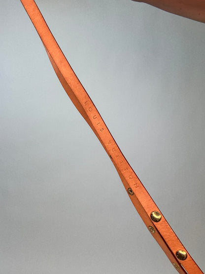 Louis Vuitton Monogram Pochette Canvas Florentine S - Belt Bag