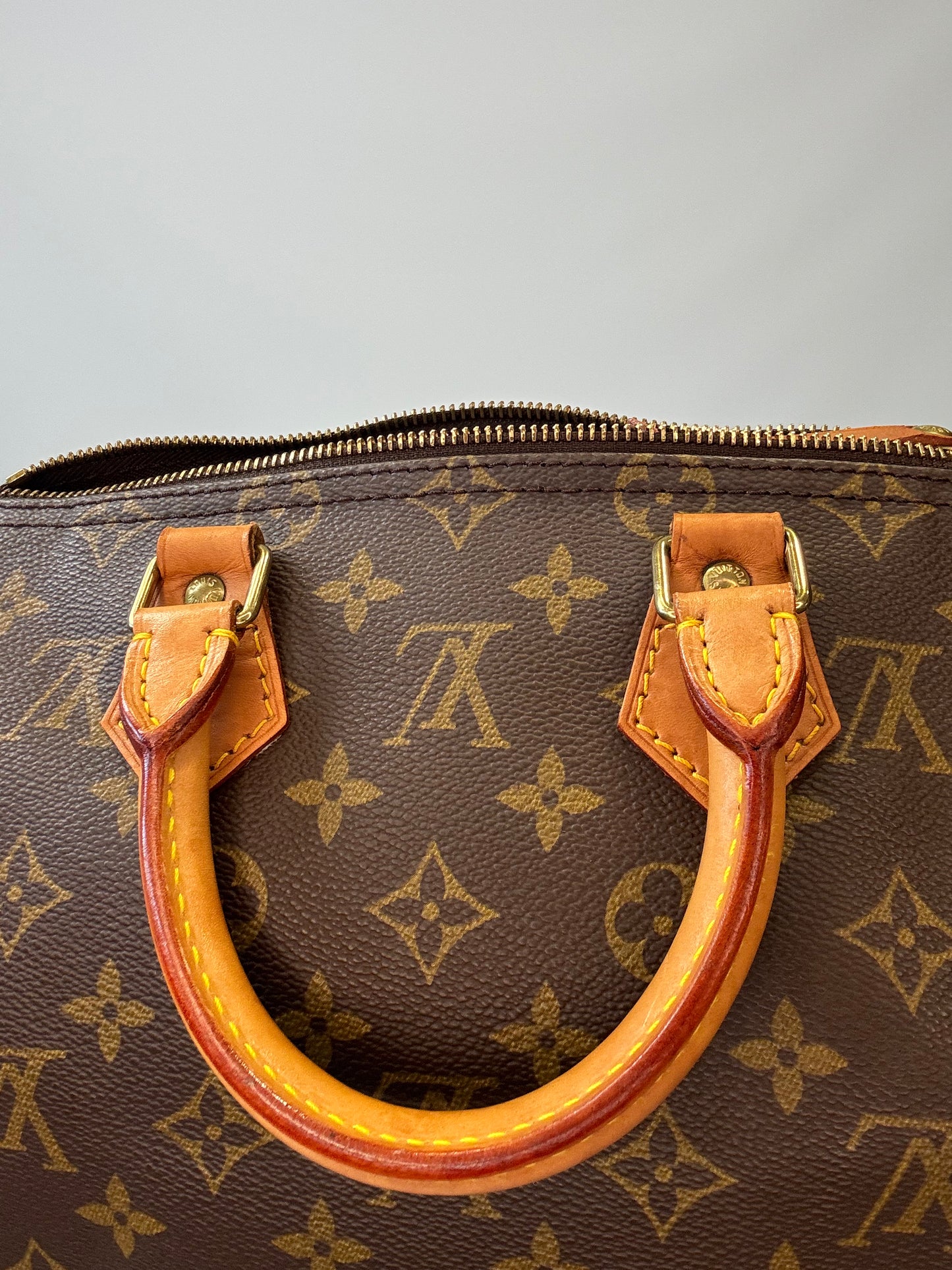 Louis Vuitton Monogram Speedy 25