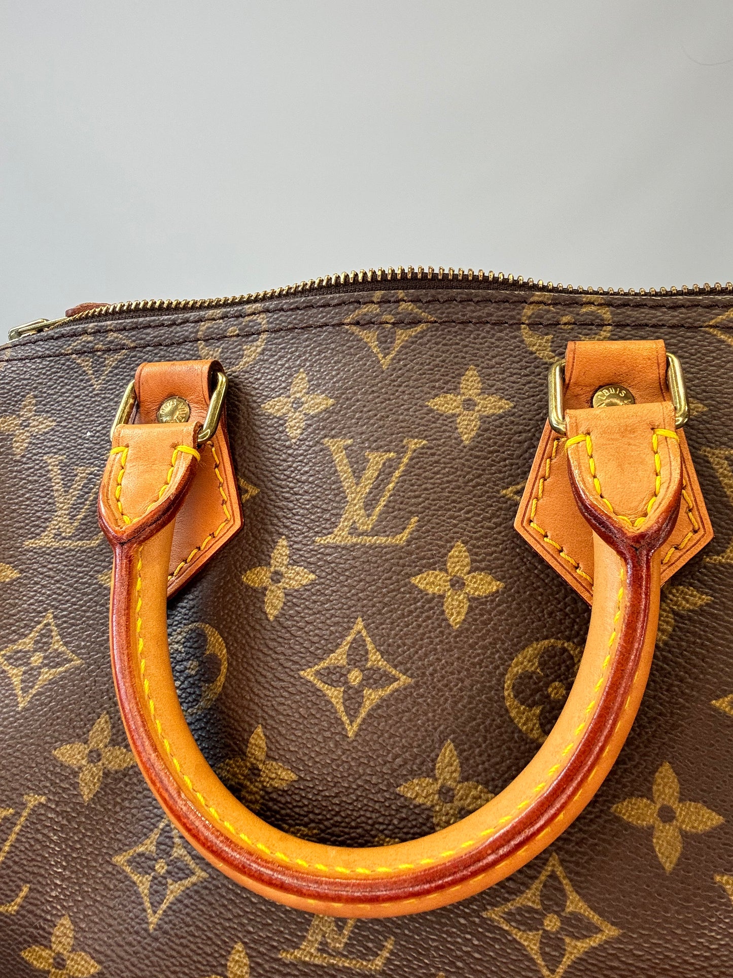 Louis Vuitton Monogram Speedy 25