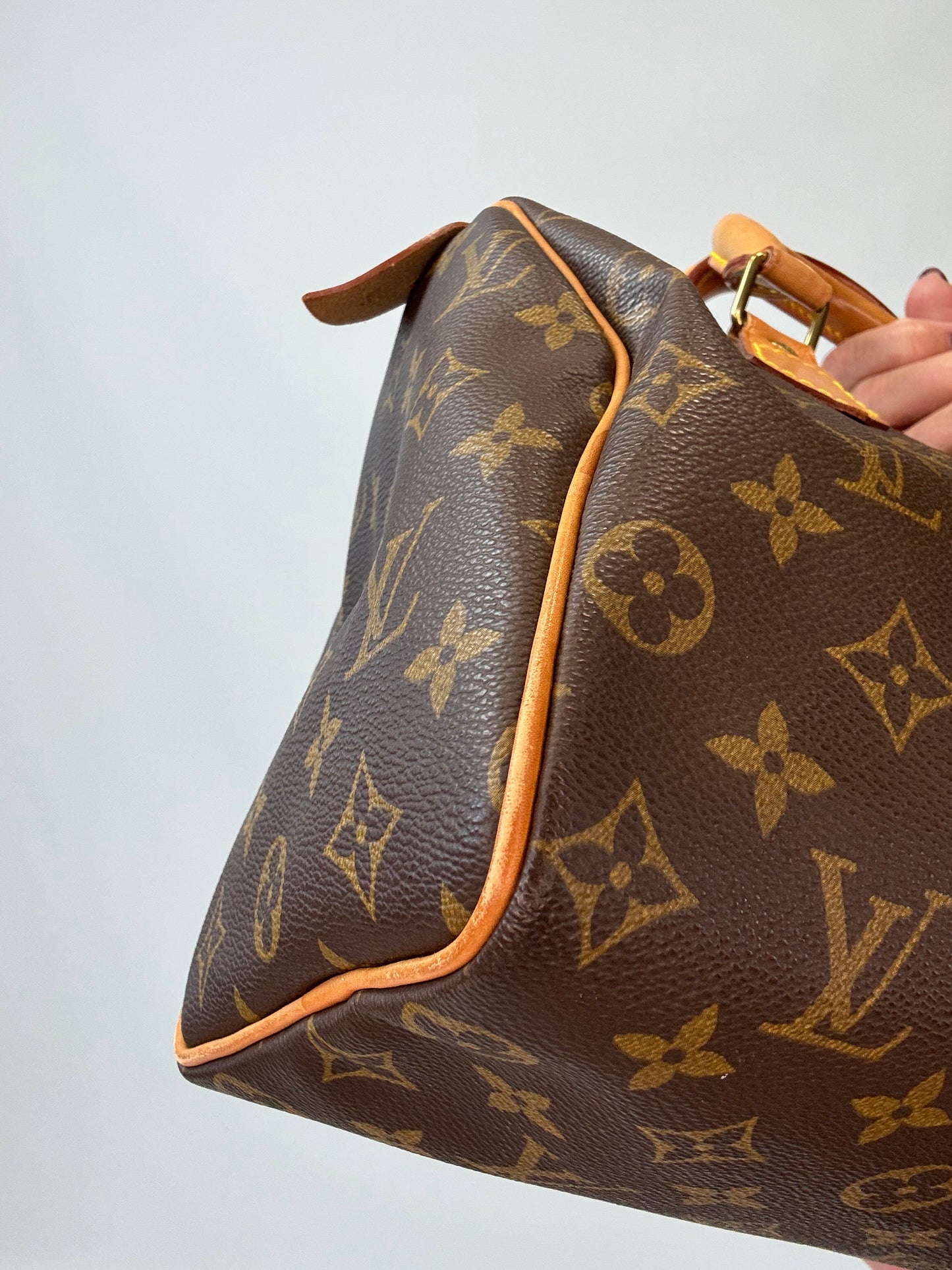 Louis Vuitton Monogram Speedy 25