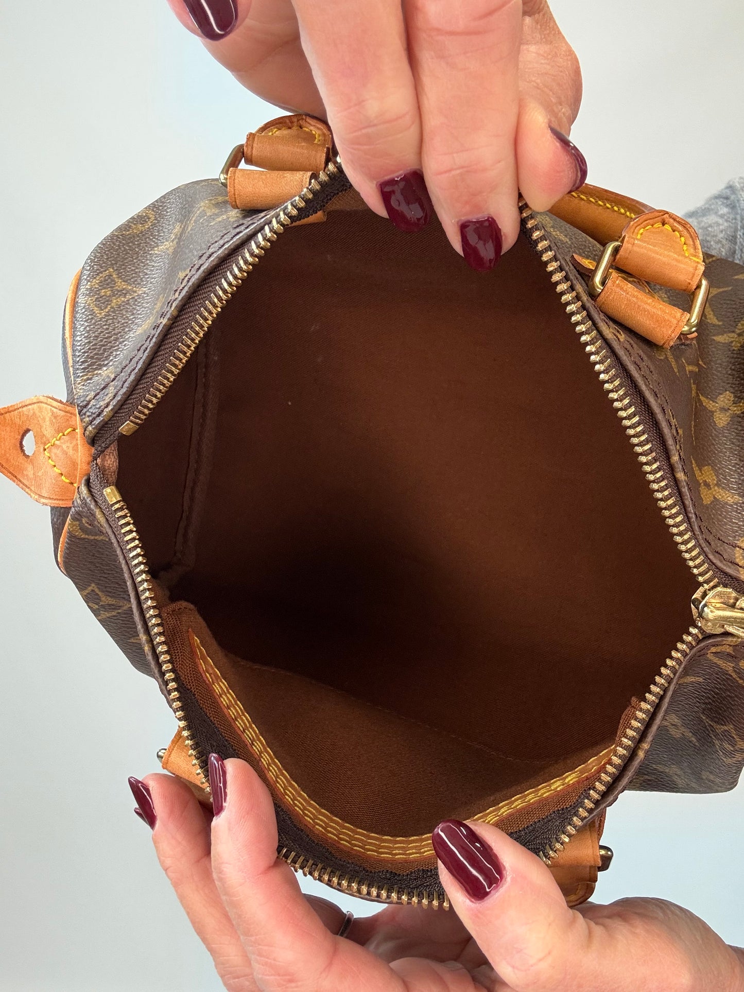 Louis Vuitton Monogram Speedy 25