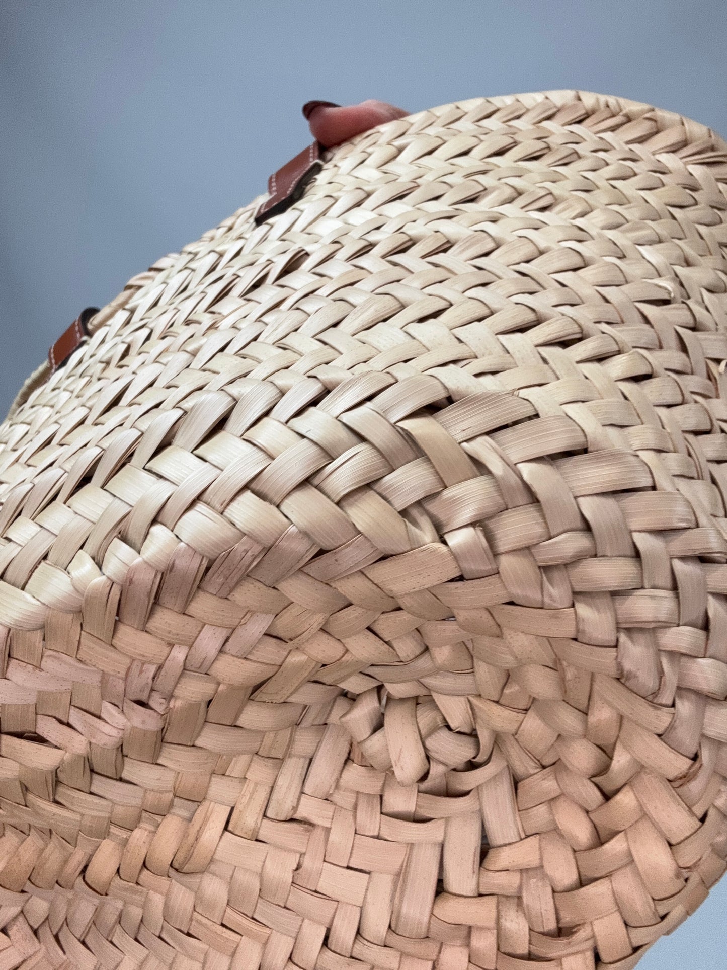 CELINE Classic Panier in Palm Leaves and Calfskin back right bottom corner