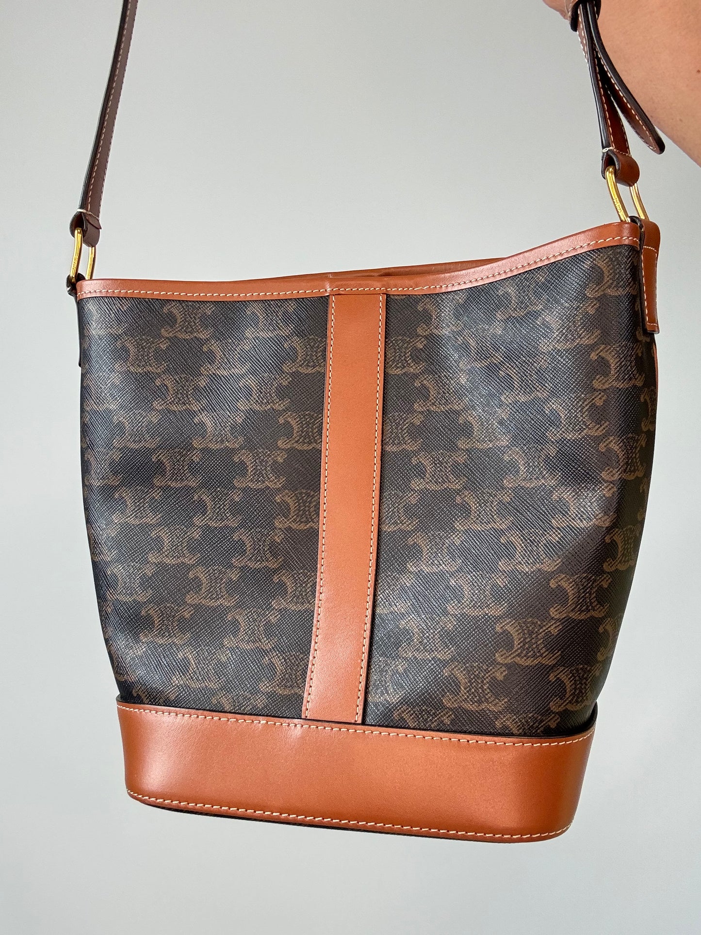 Celine Triomphe Bucket Bag back of handbag