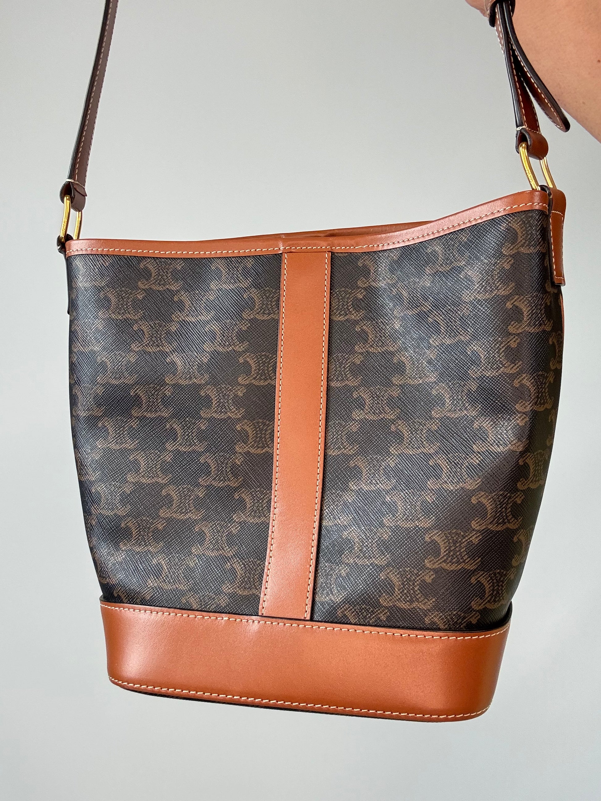 Celine Triomphe Bucket Bag back of handbag