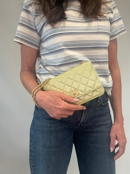 Chanel Quilted Lambskin Wallet On Chain in Pearl Green modeled 3
