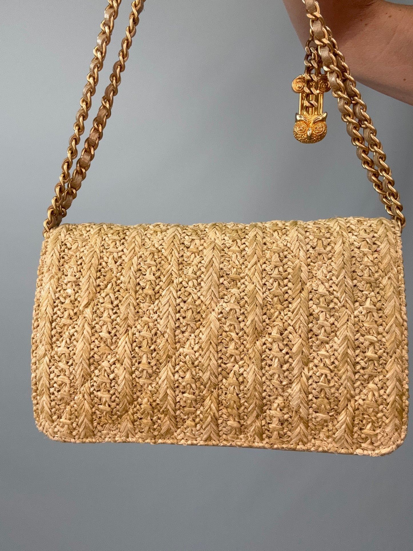 Chanel Woven Raffia Paris Athens Wallet On Chain back