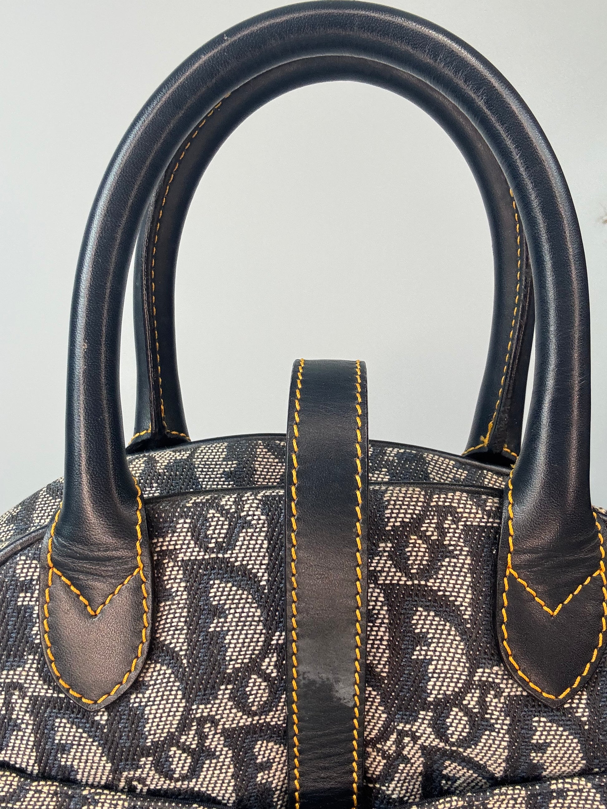 Christian Dior Double Saddle Trotter Bowler Bag top handle back