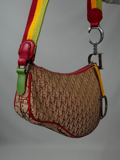 Christian Dior Multicolor Rasta Saddle Bag  left side view