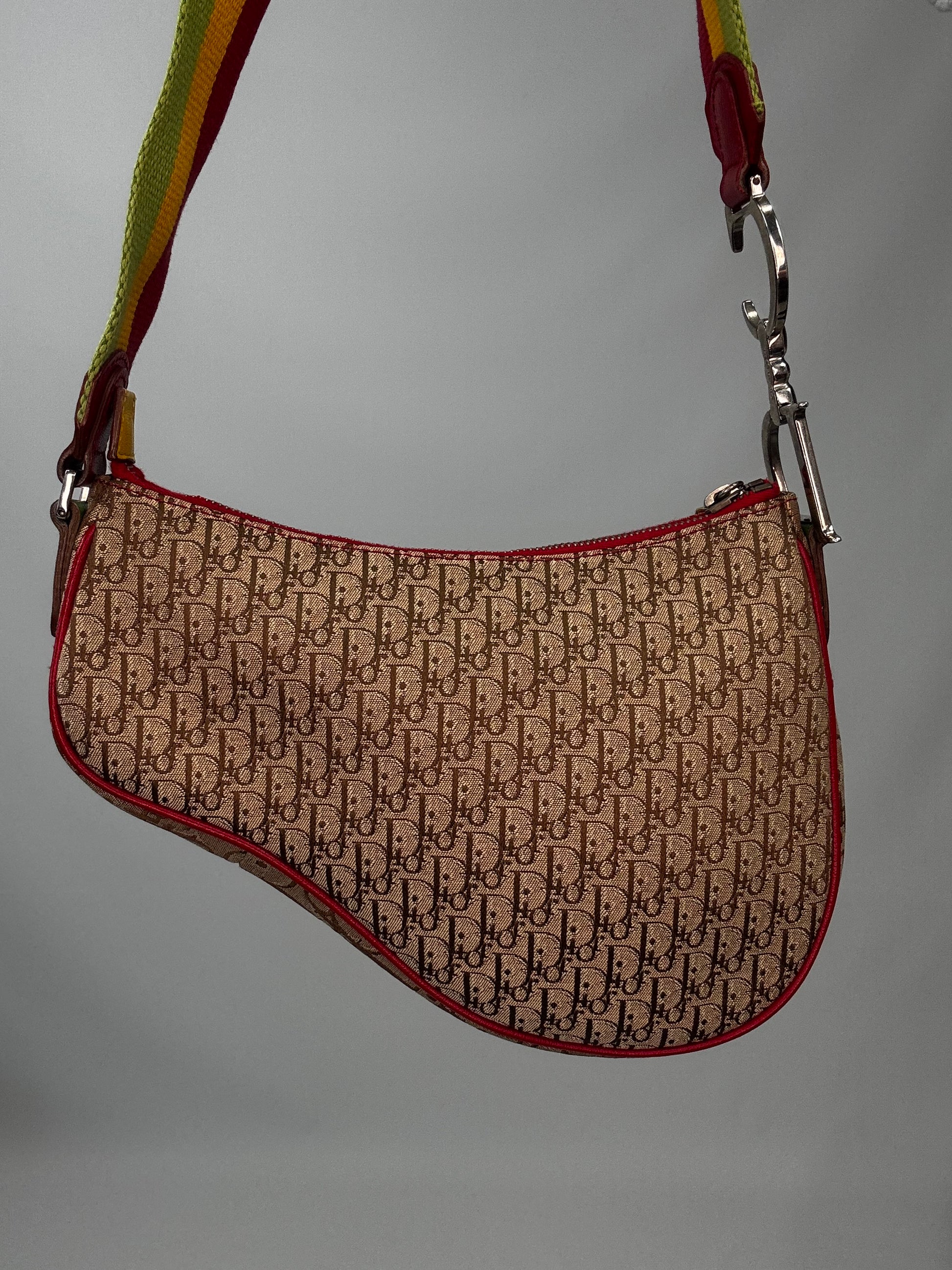 Christian Dior Multicolor Rasta Saddle Bag back of handbag
