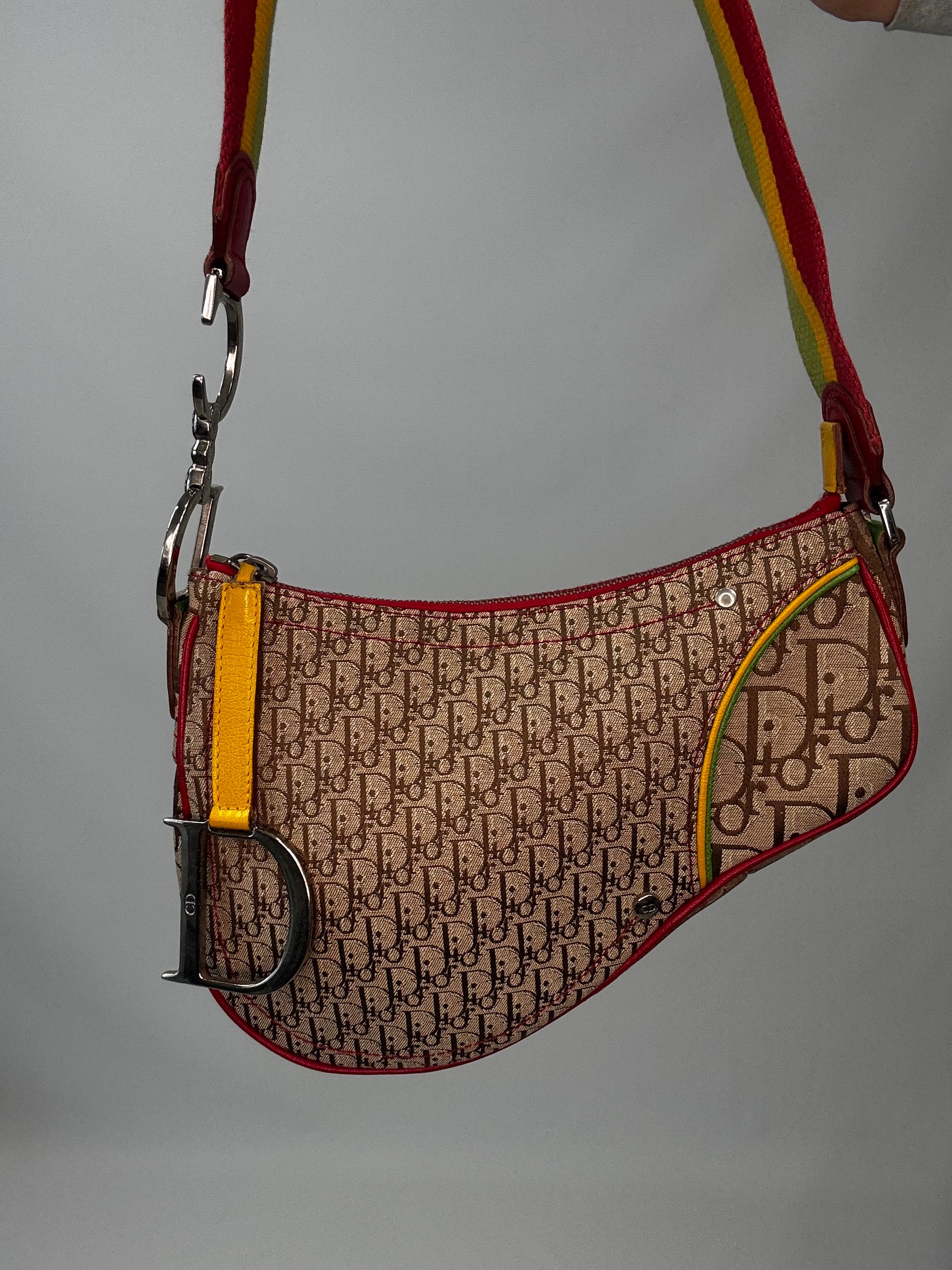 Christian Dior Multicolor Rasta Saddle Bag front closeup