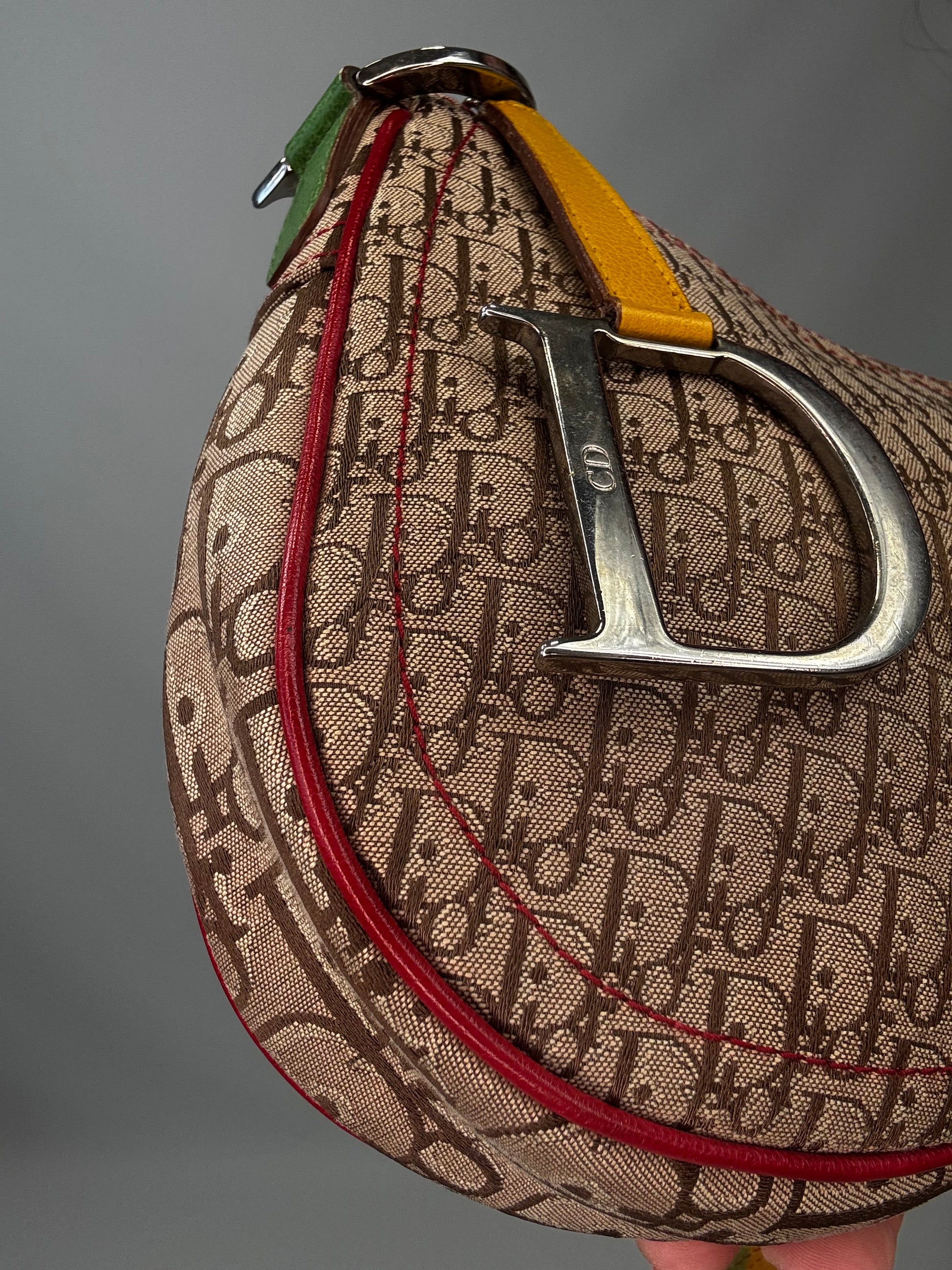 Christian Dior Multicolor Rasta Saddle Bag front left corner