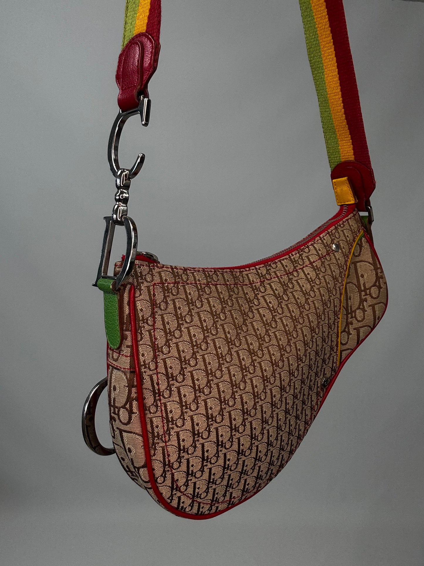 Christian Dior Multicolor Rasta Saddle Bag front left side view