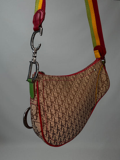 Christian Dior Multicolor Rasta Saddle Bag front left side view