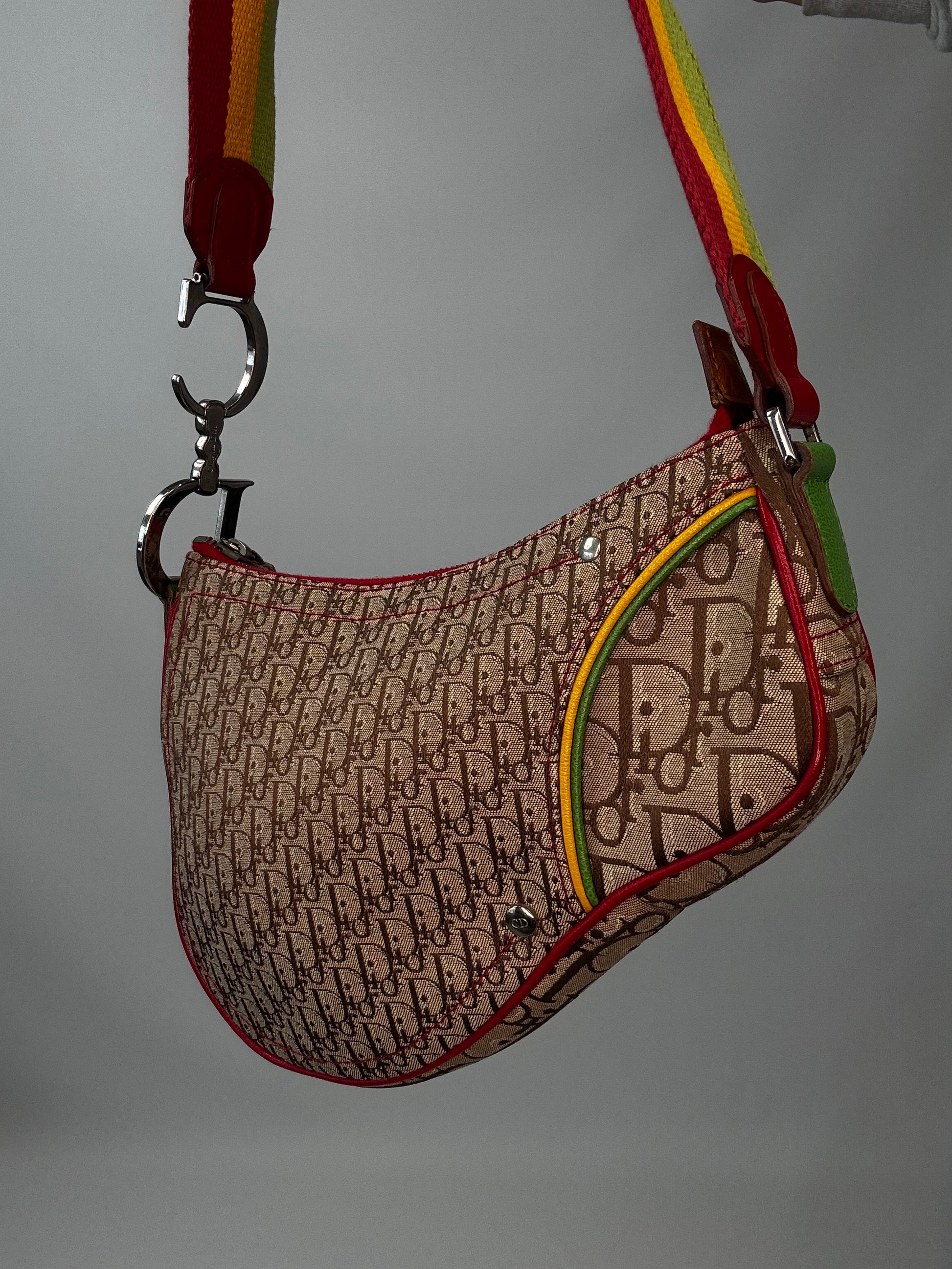 Christian Dior Multicolor Rasta Saddle Bag front right side view