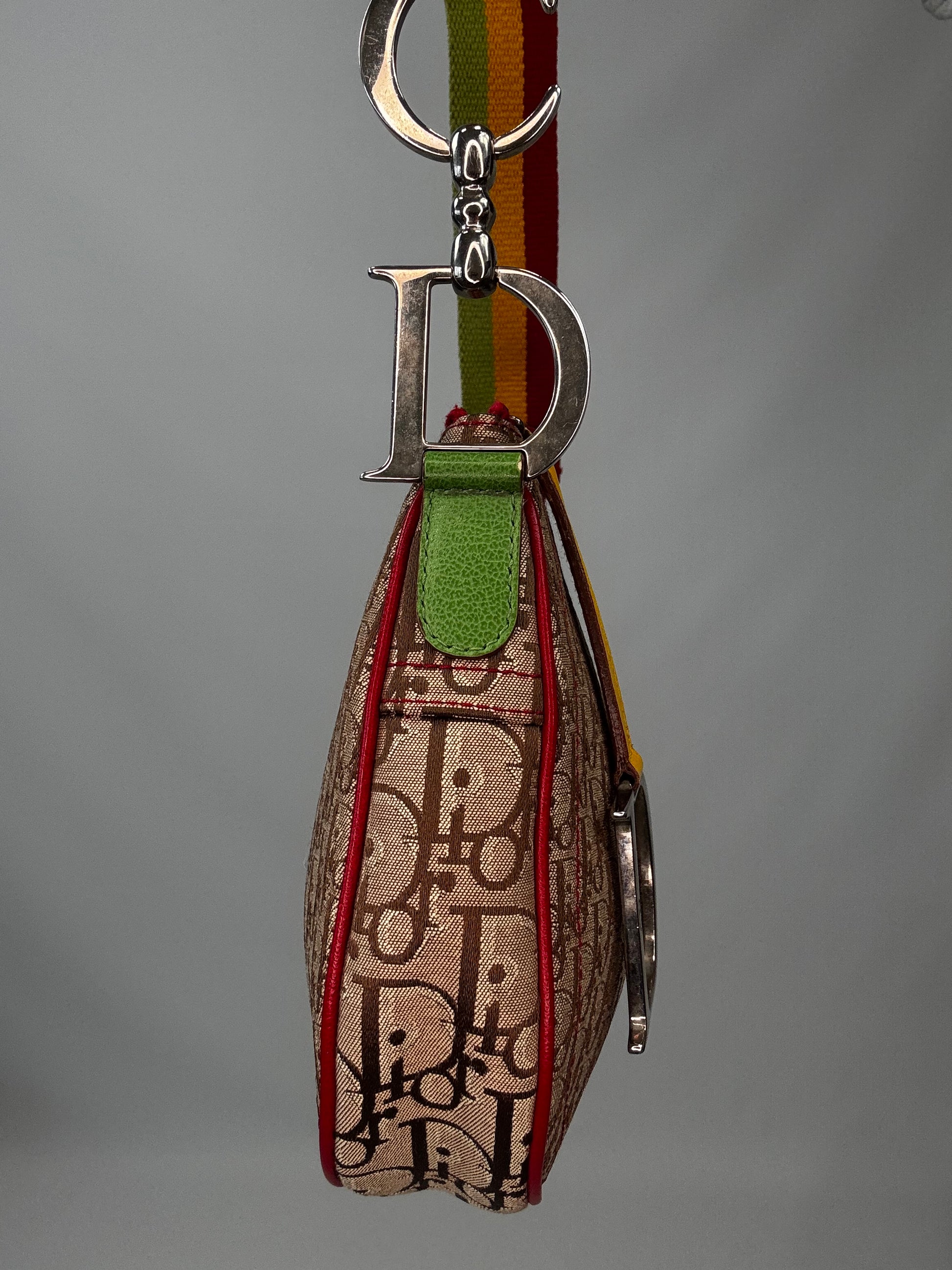 Christian Dior Multicolor Rasta Saddle Bag left side