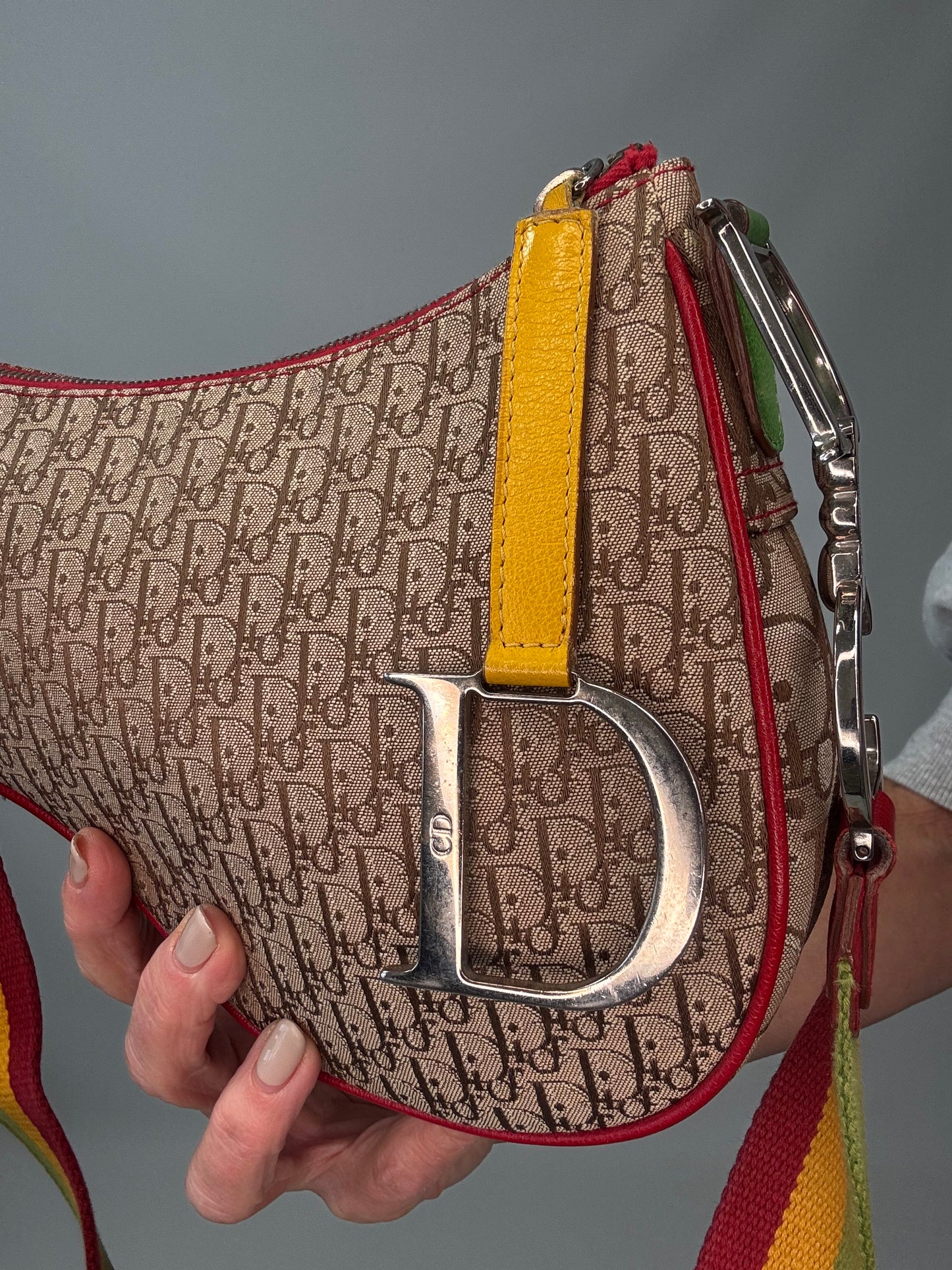 Christian Dior Multicolor Rasta Saddle Bag logo charm closeup
