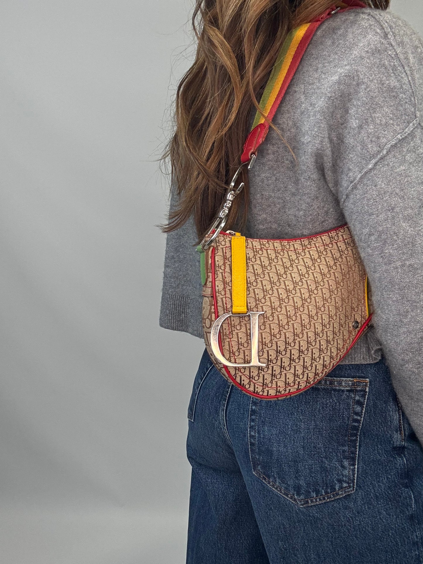 Christian Dior Multicolor Rasta Saddle Bag modeled 3