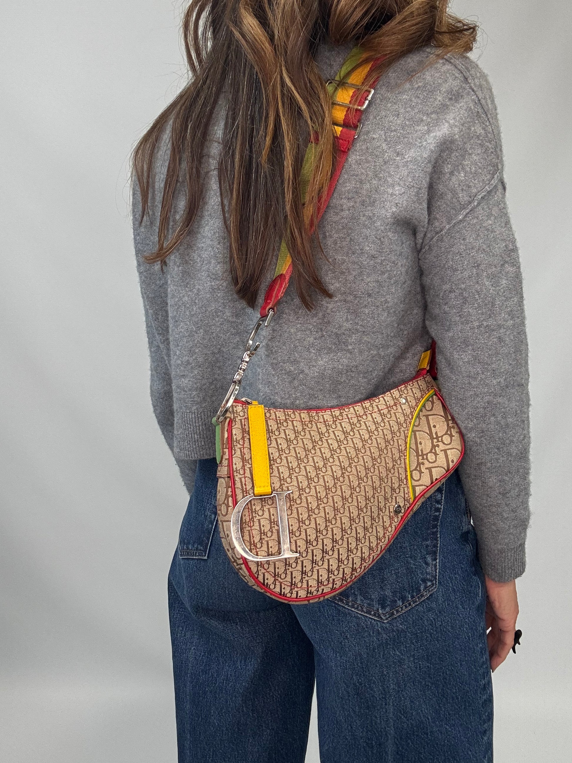 Christian Dior Multicolor Rasta Saddle Bag modeled