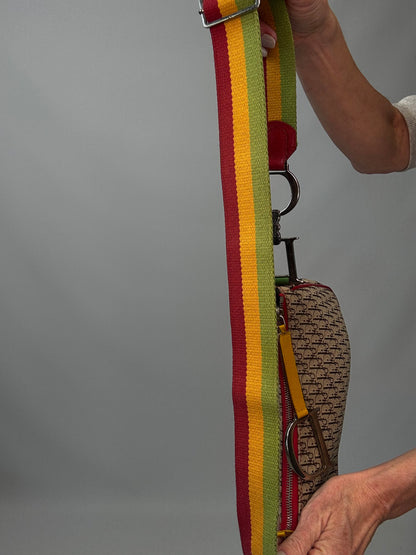 Christian Dior Multicolor Rasta Saddle Bag strap