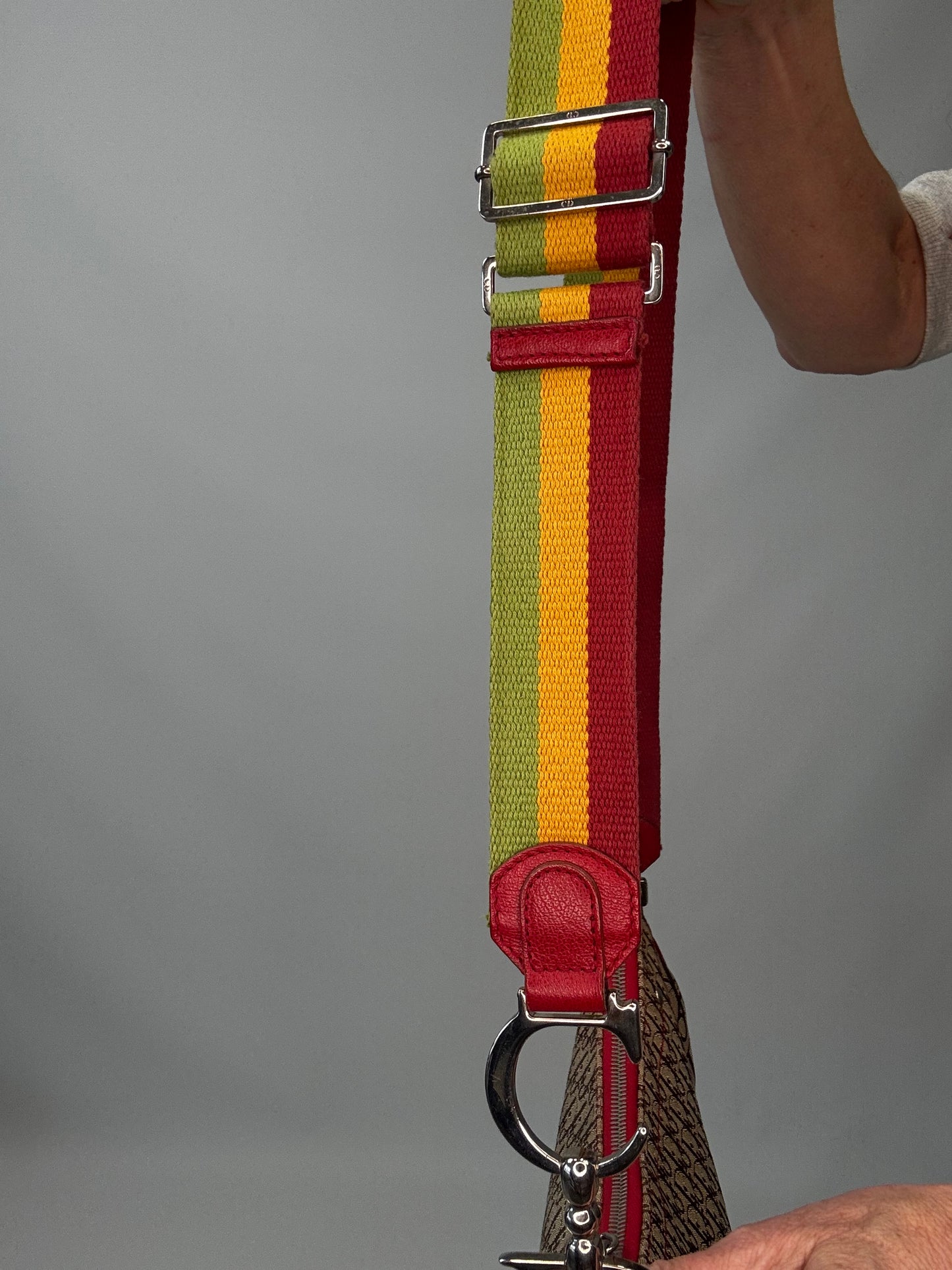 Christian Dior Multicolor Rasta Saddle Bag strap with hardware