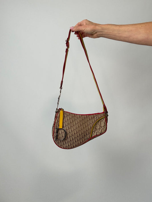 Christian Dior Multicolor Rasta Saddle Bag