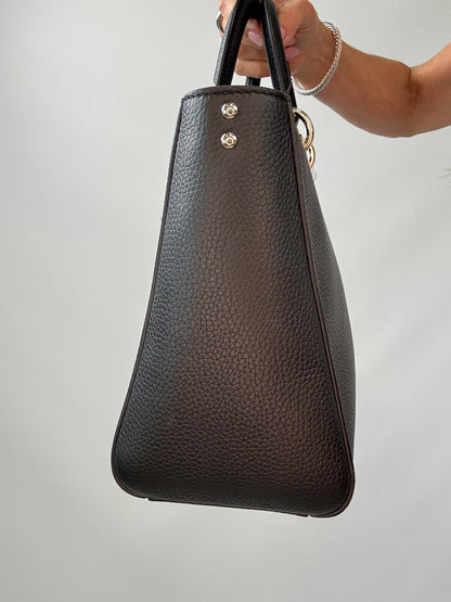 Dior Grained Calfskin Diorissimo Tote - Black right side