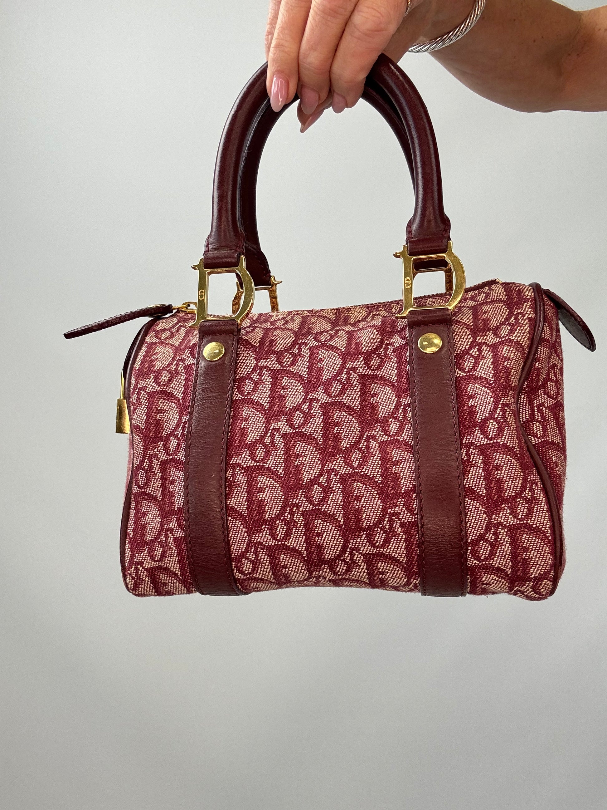 Dior Trotter Mini Boston Bag back of bag