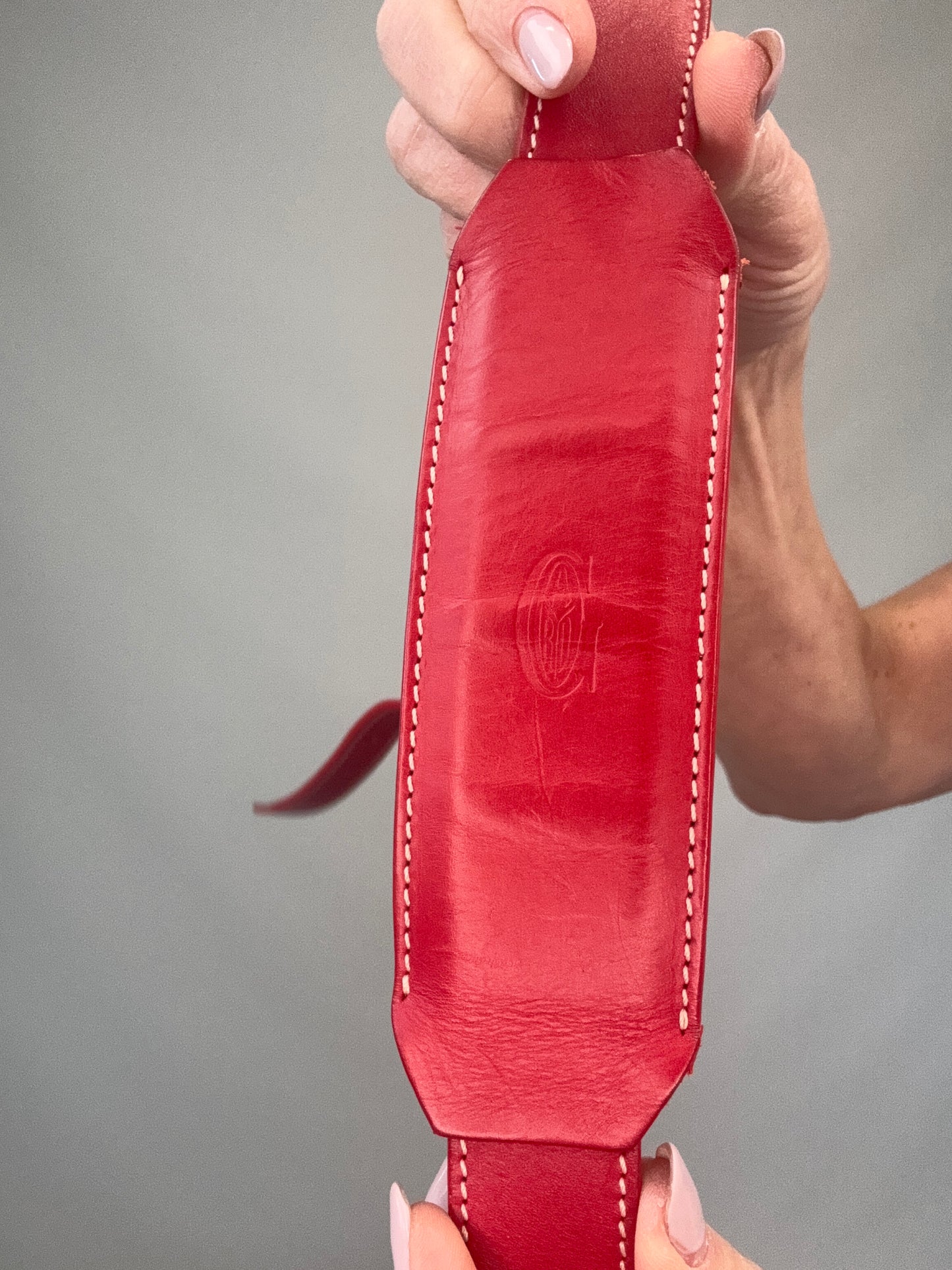 Goyard Goyardine Croisiere 35 logo on strap