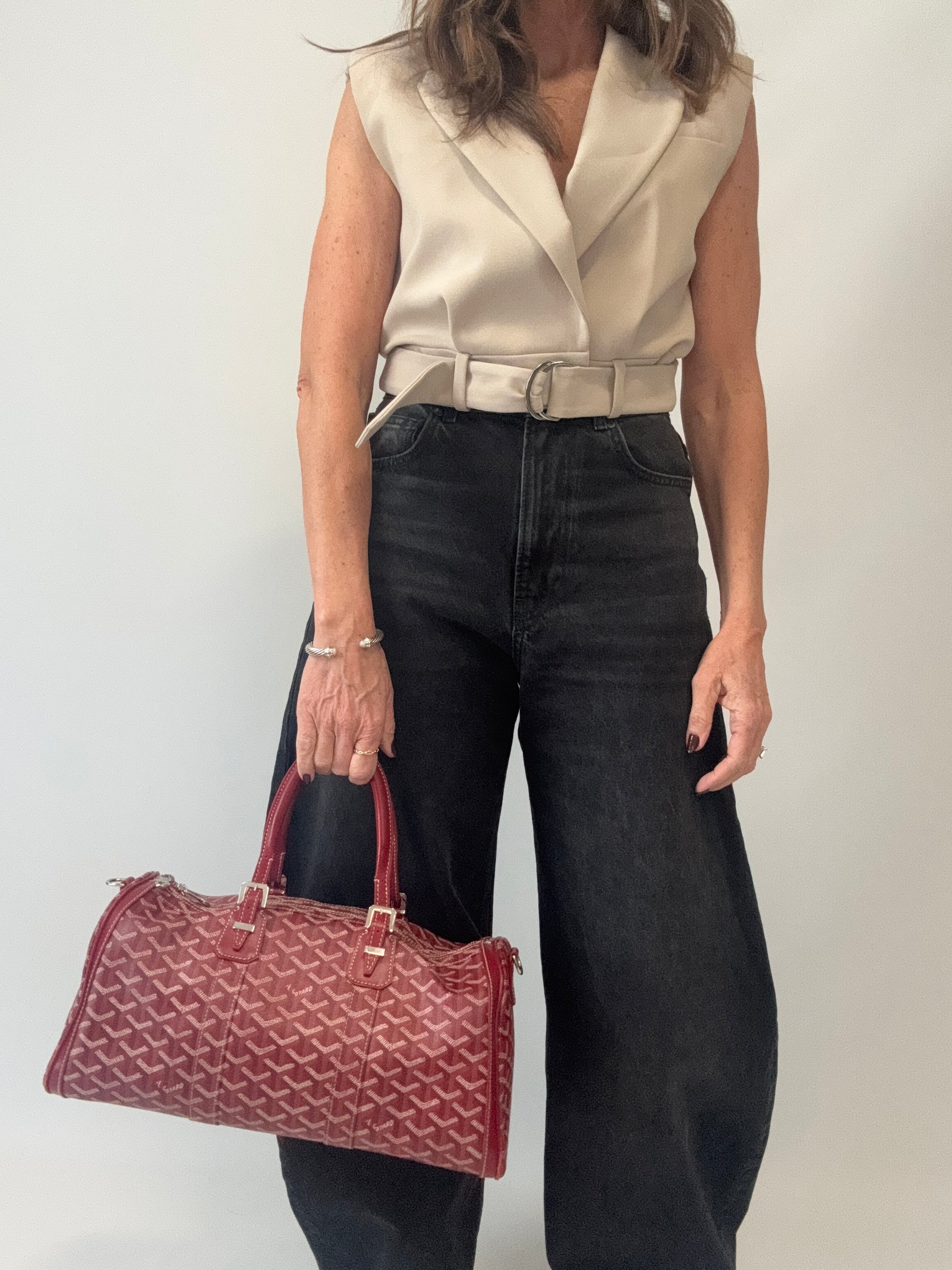 Goyard Goyardine Croisiere 35 modeled