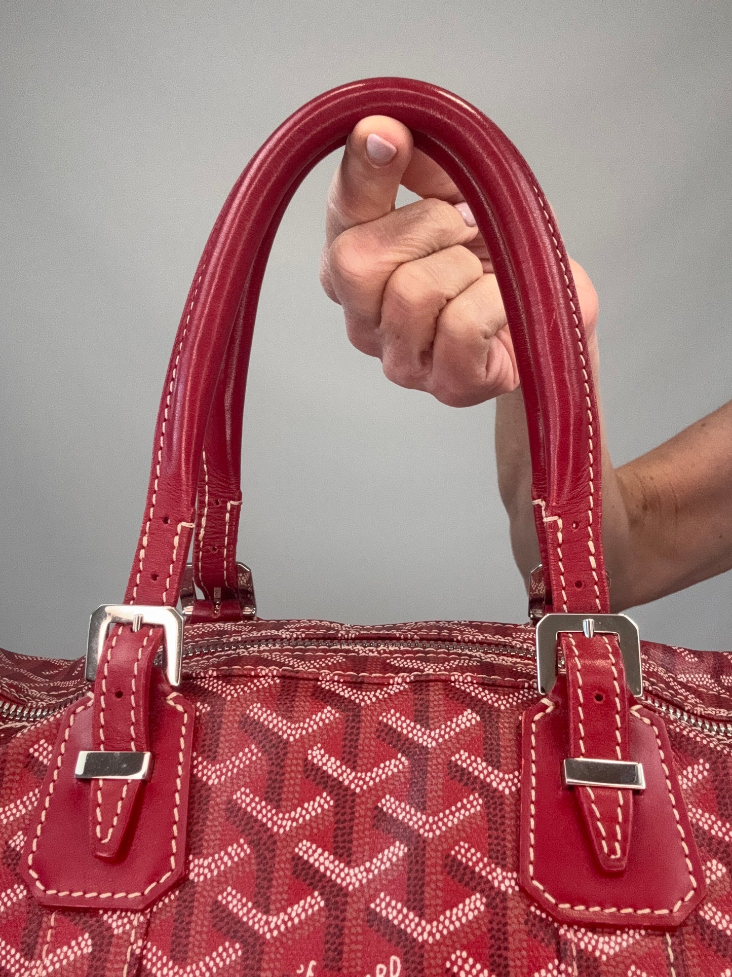Goyard Goyardine Croisiere 35  top handles 2