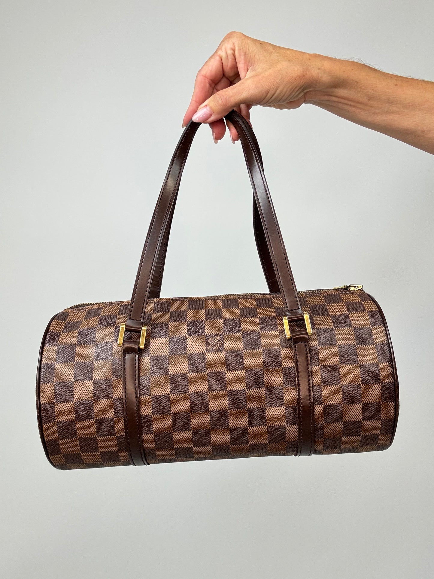 Louis Vuitton Damier Ebene Papillion 30 Handbag & Pochette Set back of handbag