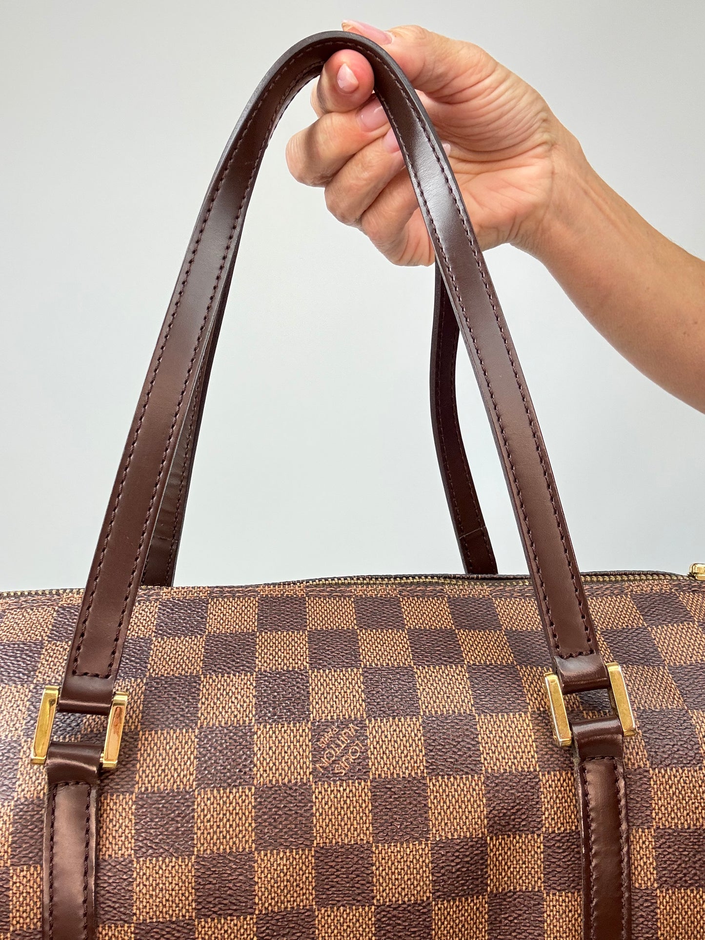 Louis Vuitton Damier Ebene Papillion 30 Handbag & Pochette Set back of top handles