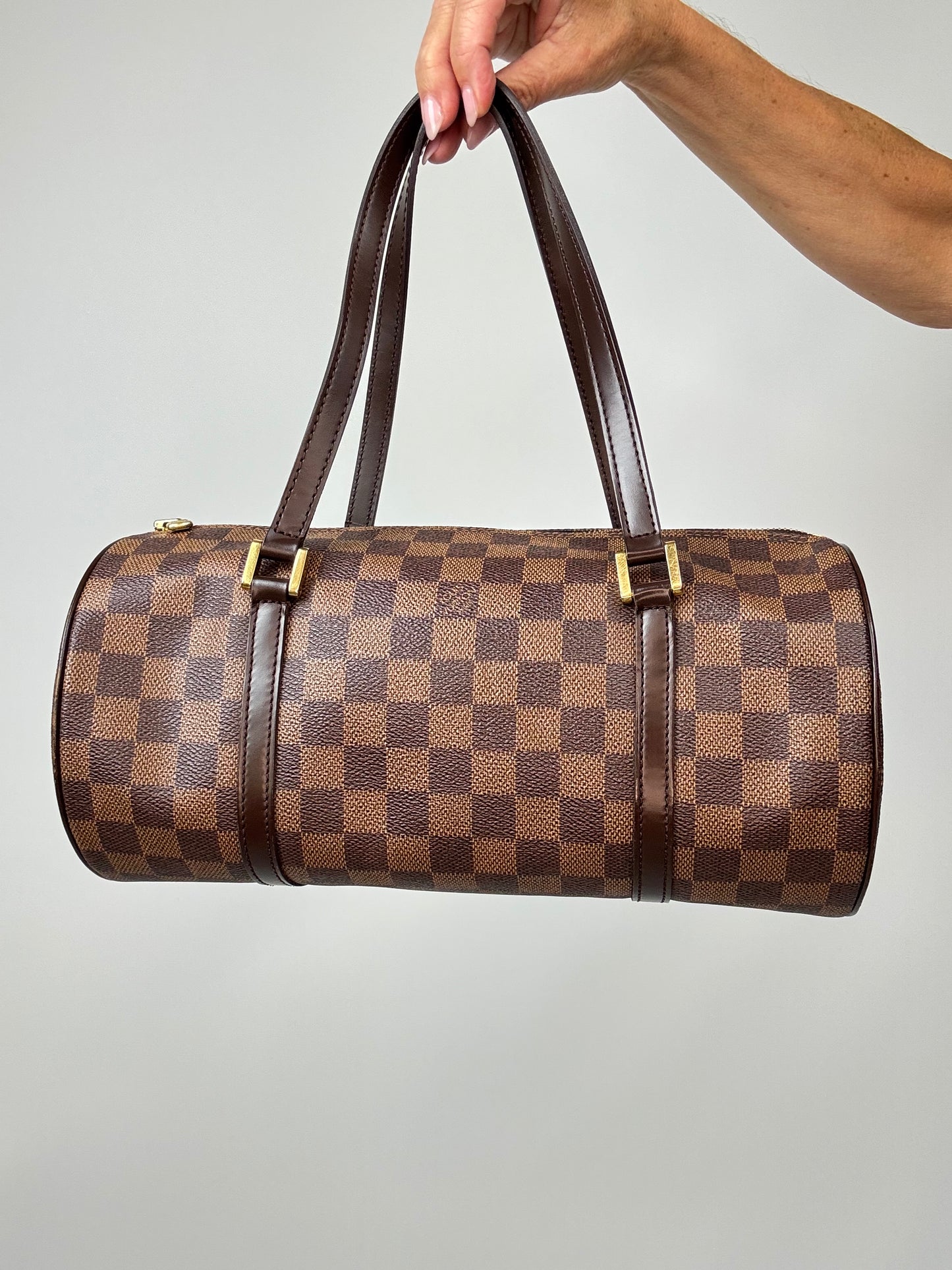 Louis Vuitton Damier Ebene Papillion 30 Handbag & Pochette Set front of handbag