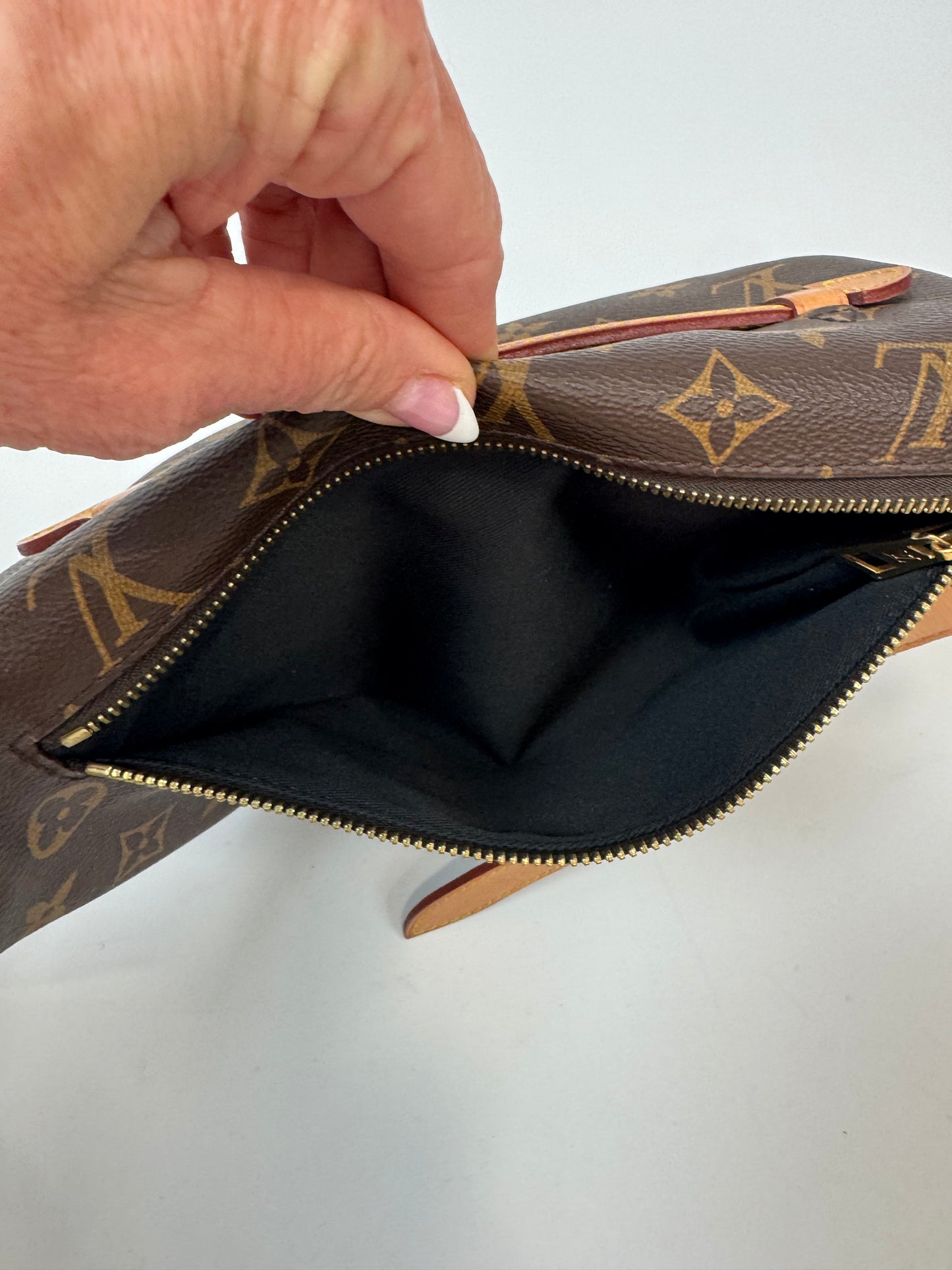 Louis Vuitton Monogram Canvas Bumbag 2018 exterior pocket