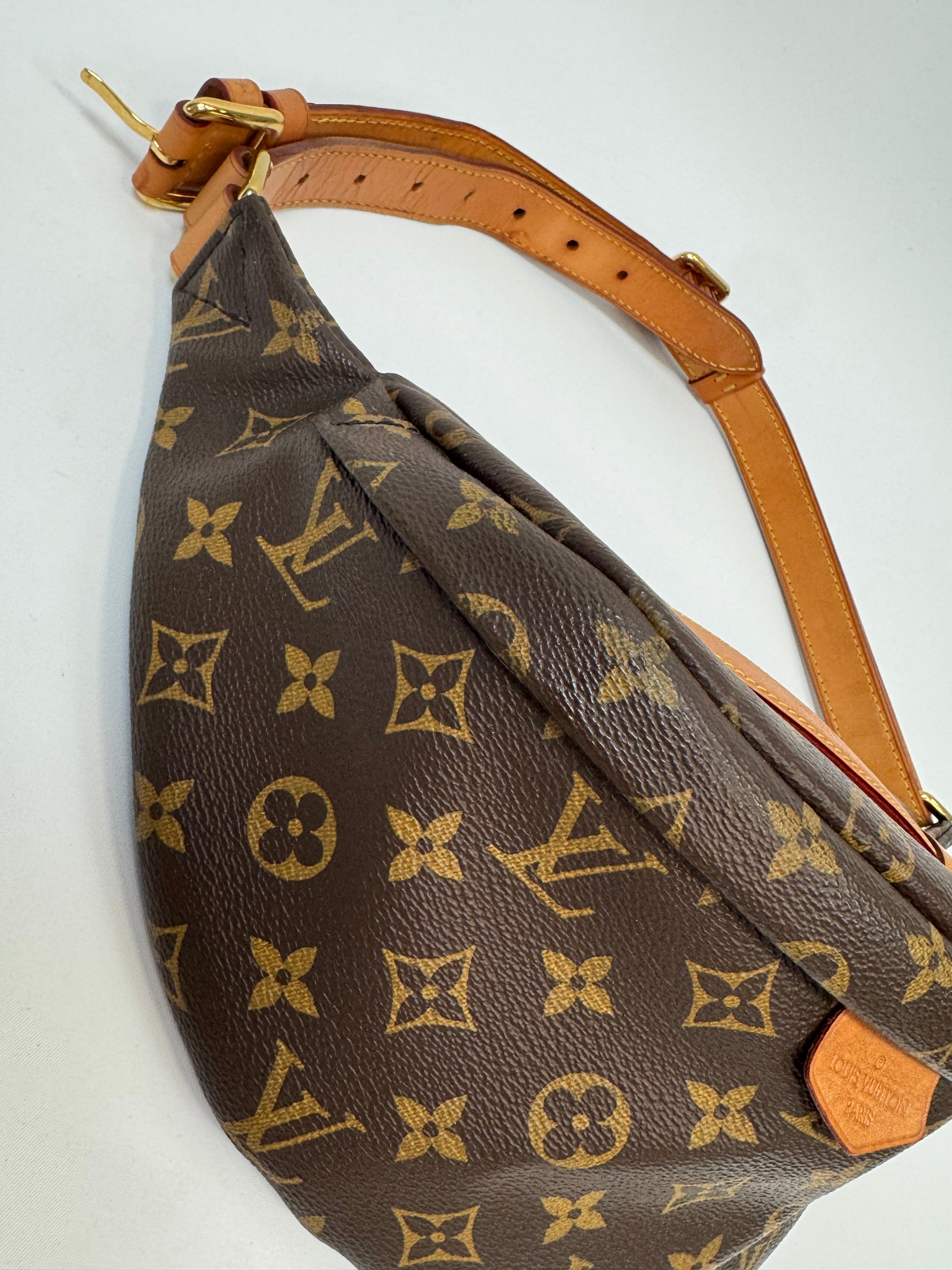 Louis Vuitton Monogram Canvas Bumbag 2018 left side