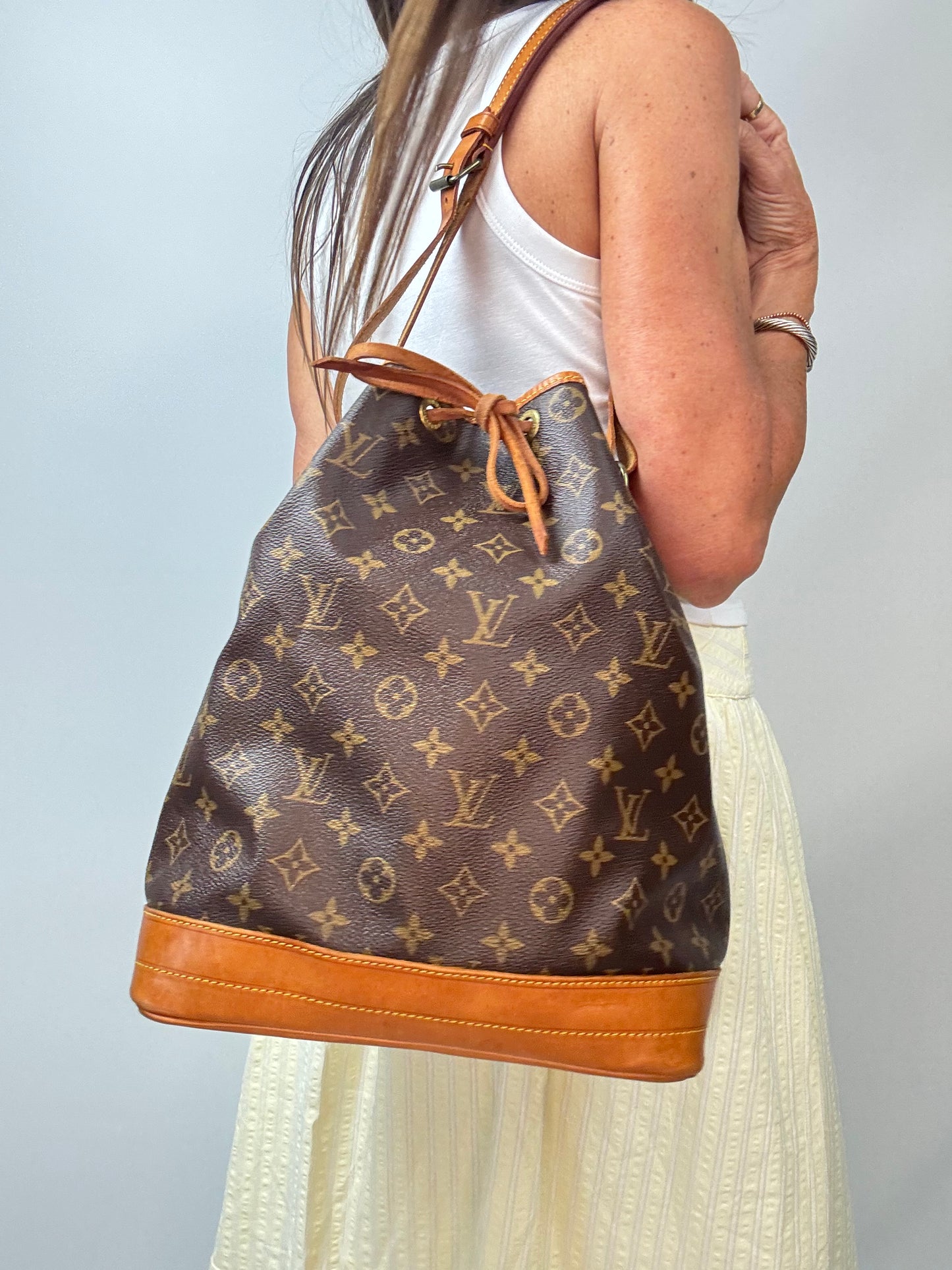 Louis Vuitton Monogram Canvas Noé Bucket Bag modeled