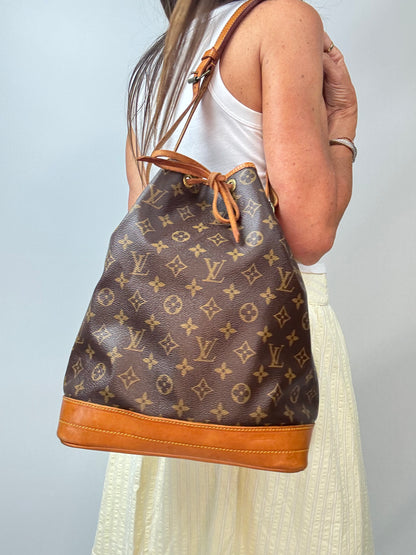 Louis Vuitton Monogram Canvas Noé Bucket Bag modeled
