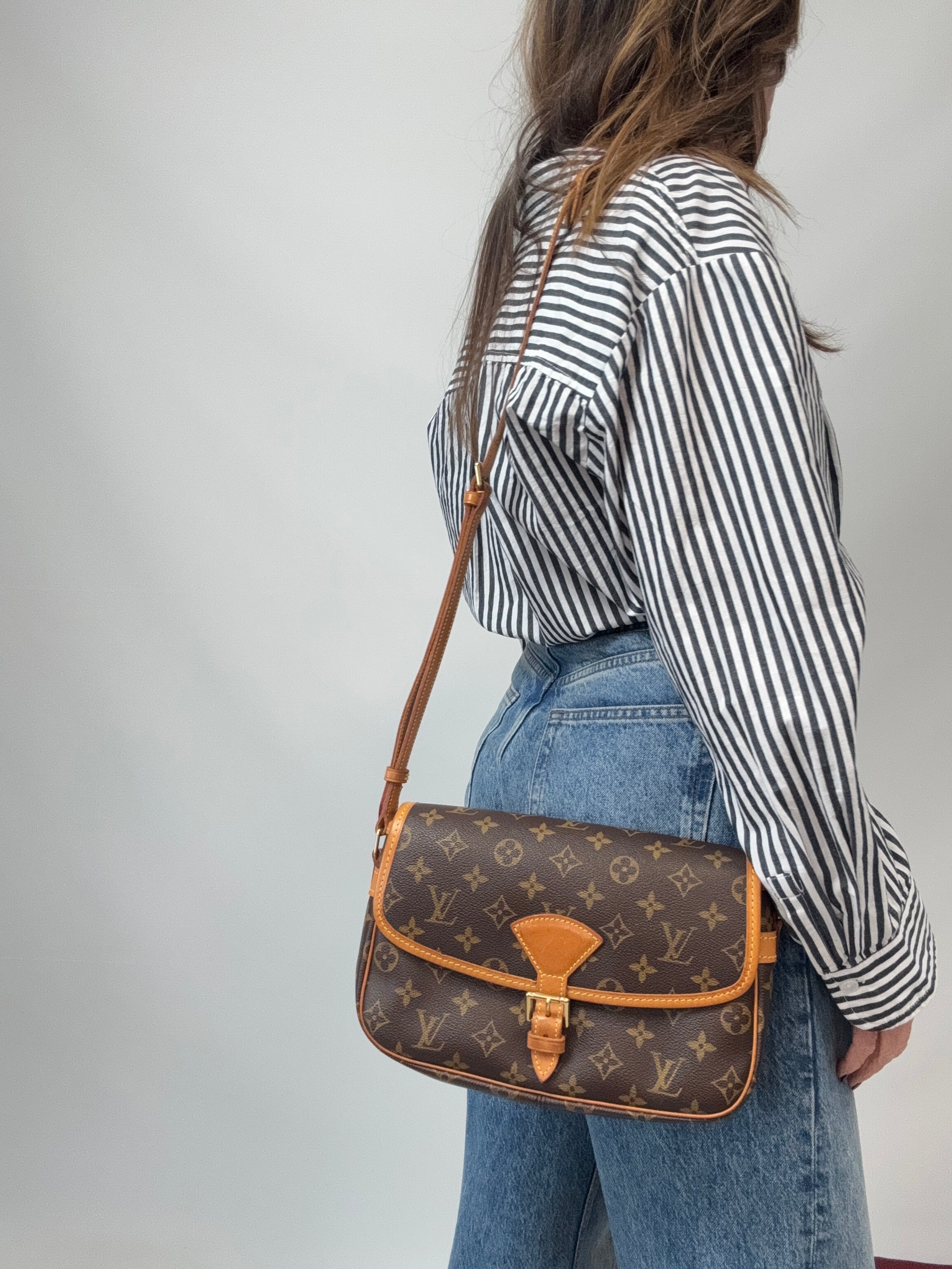 LOUIS VUITTON Monogram Canvas Sologne modeled 2