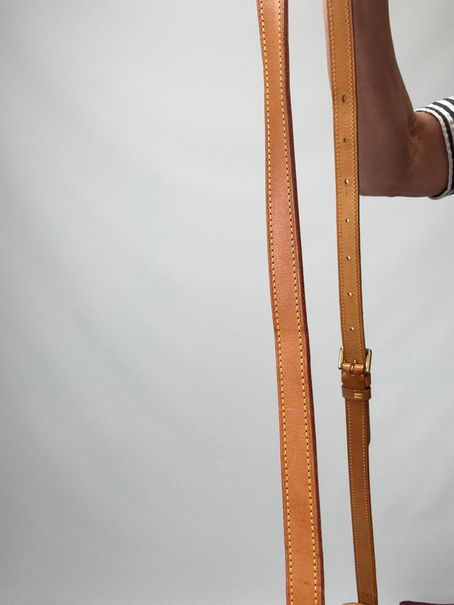 LOUIS VUITTON Monogram Canvas Sologne strap image 2