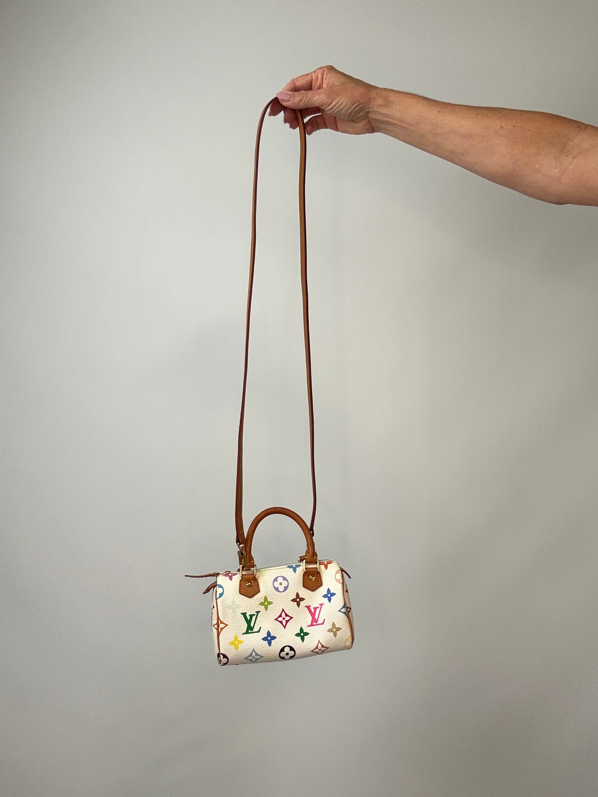 Louis Vuitton Takashi Murakami White Multicolore Nano Speedy