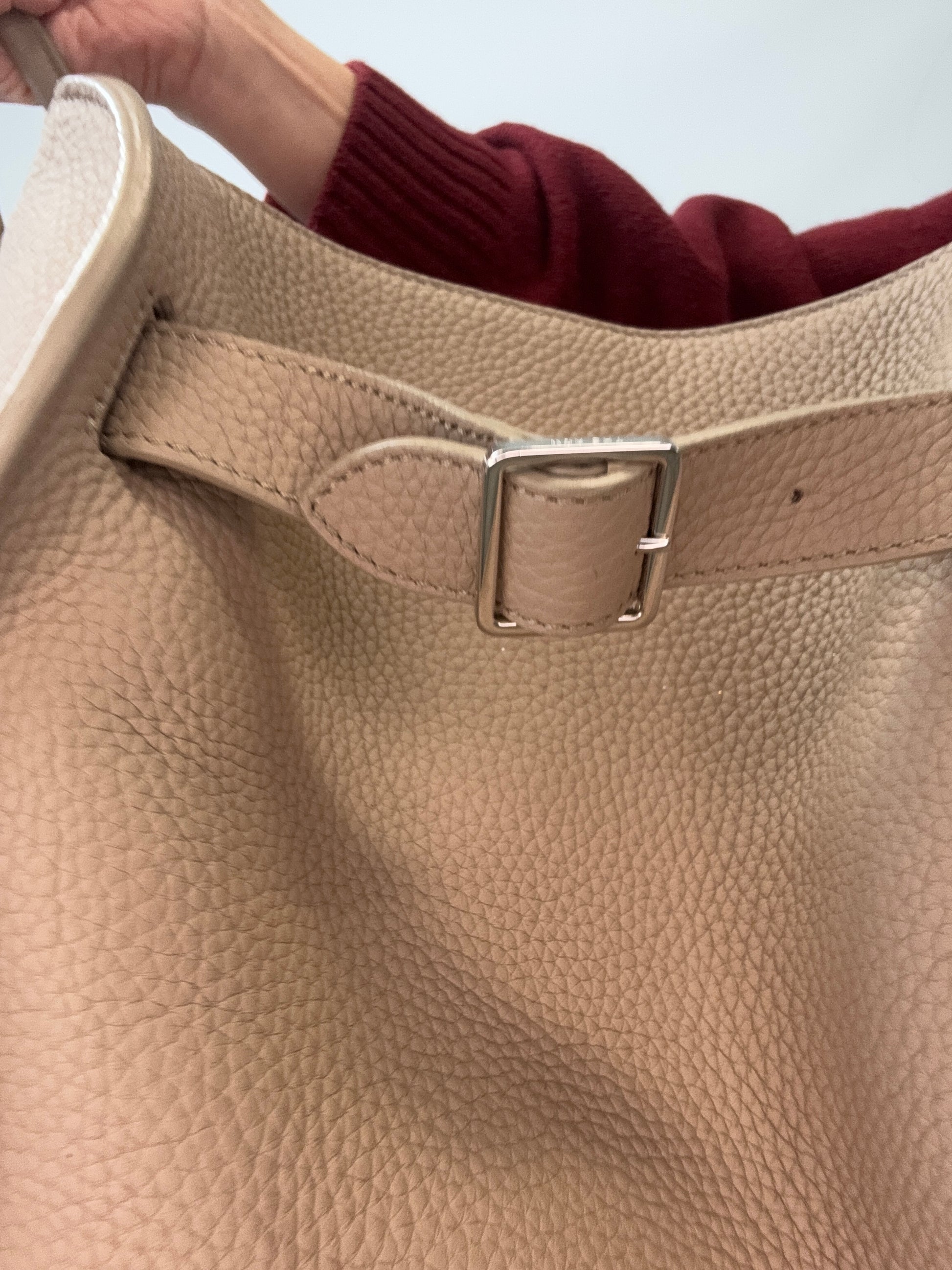 The Row Soft Margaux 15 Bag Beige buckle close up
