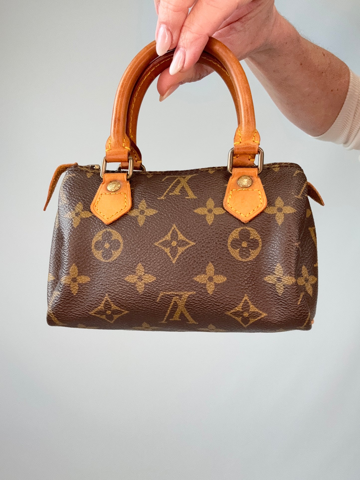 Vintage Louis Vuitton Nano Monogram Speedy back of handbag