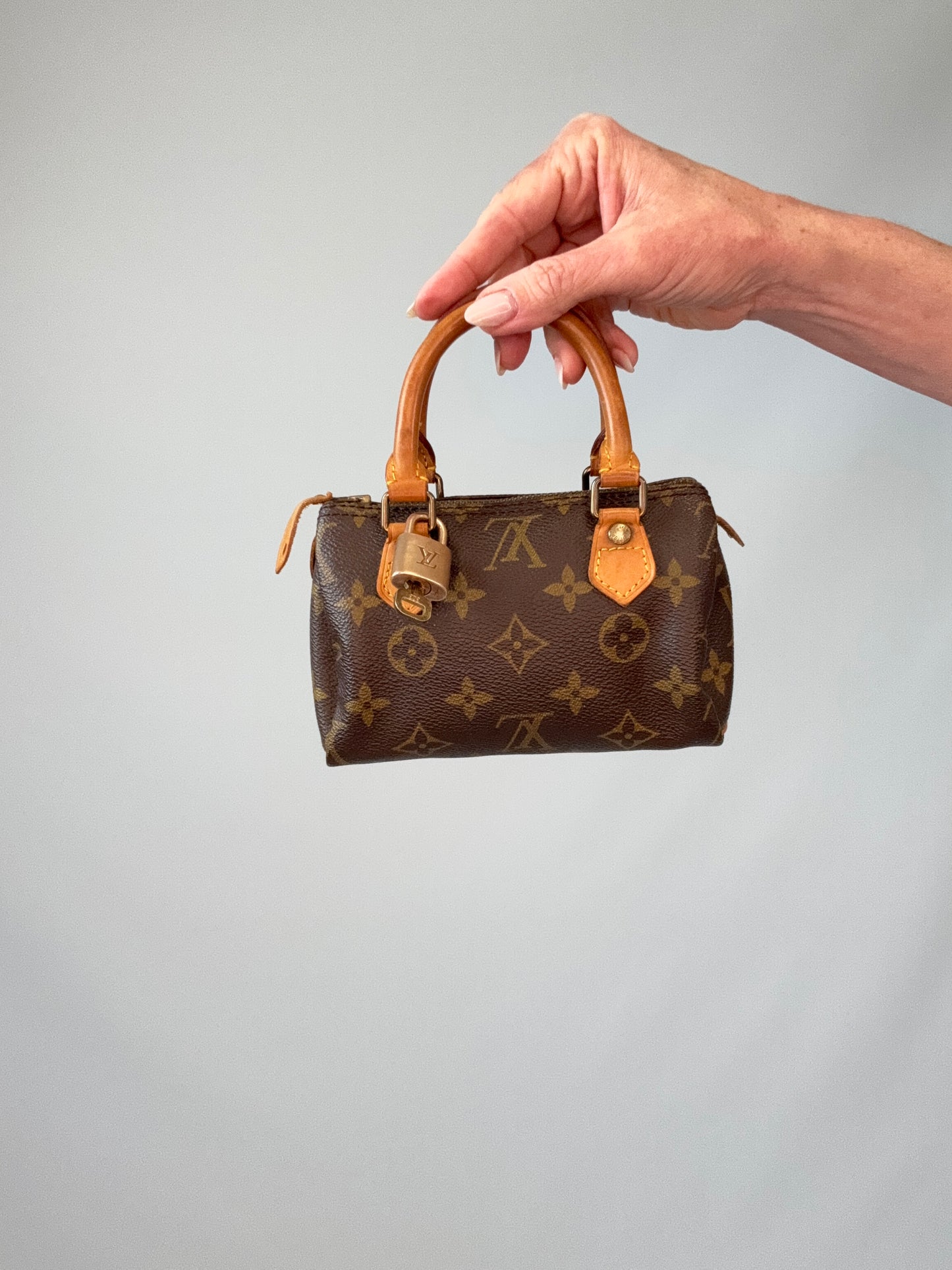 Vintage Louis Vuitton Nano Monogram Speedy 