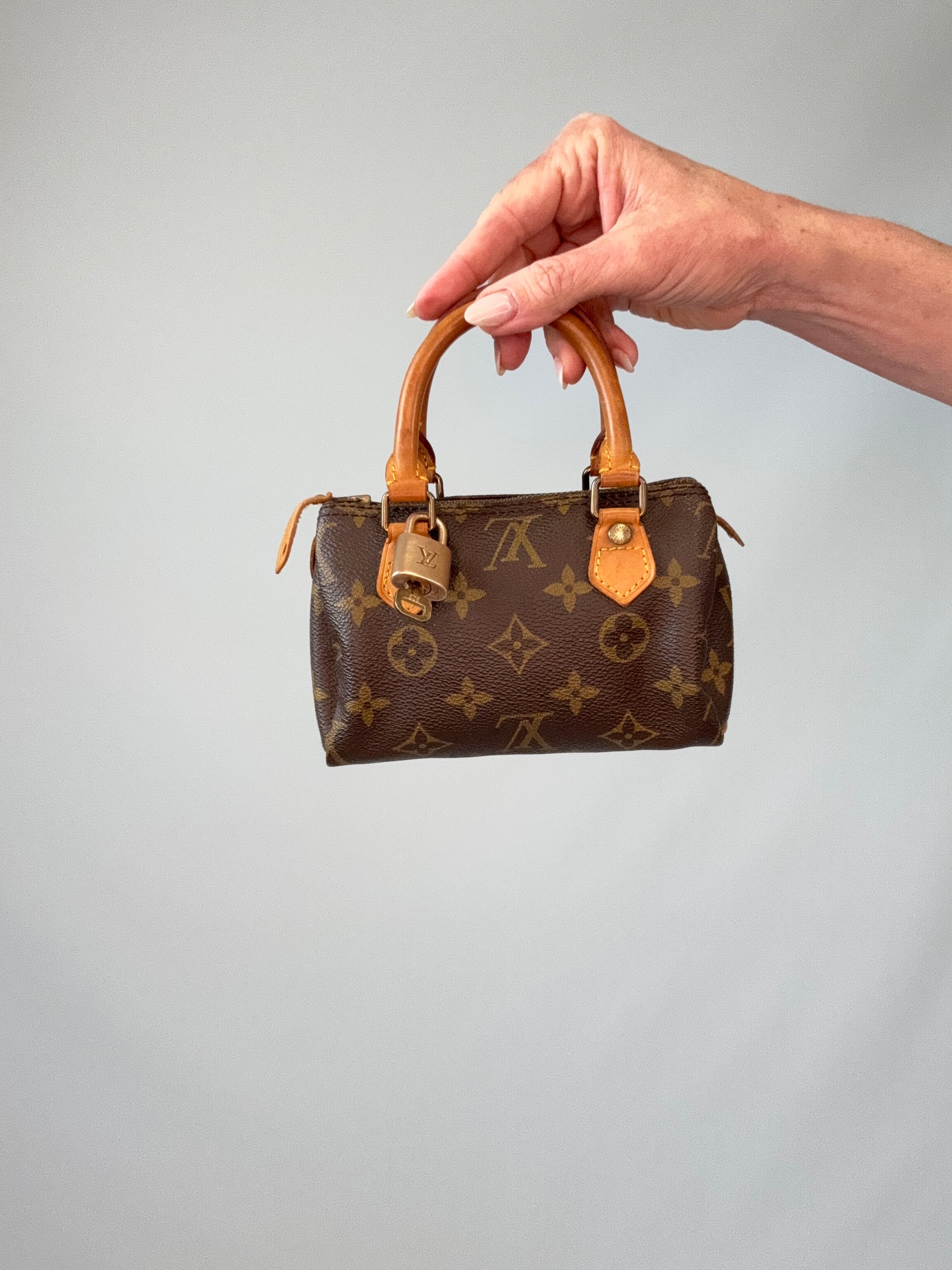 Vintage Louis Vuitton Nano Monogram Speedy 